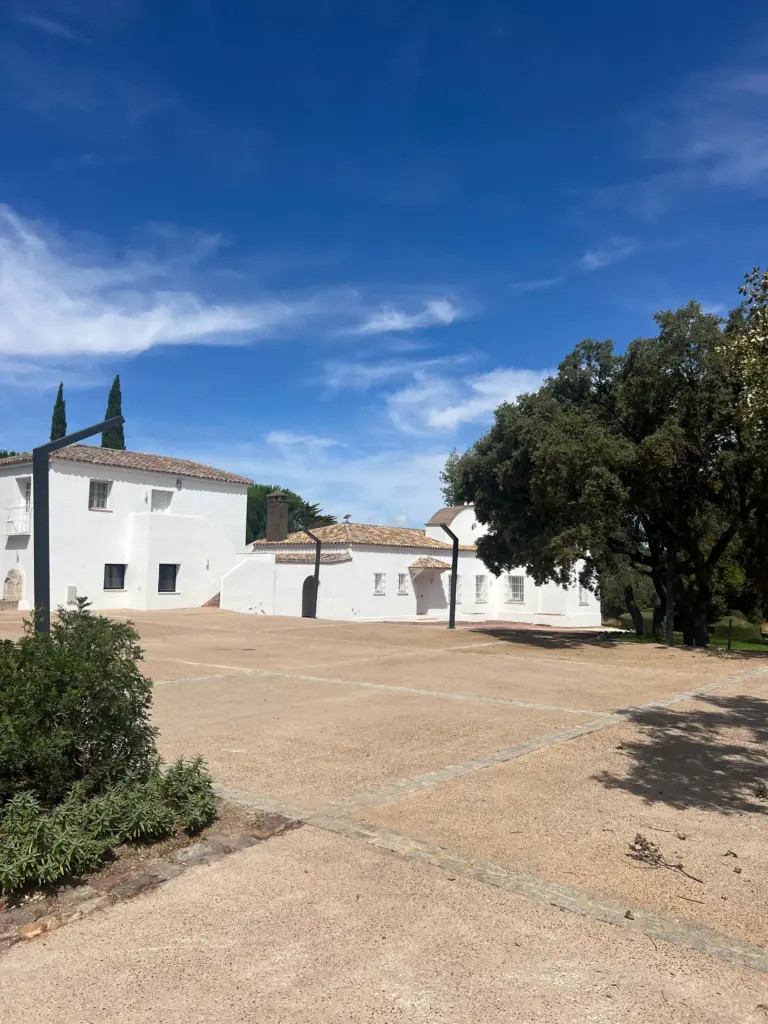 toledo madrid finca 01 interiorismo veronica mimoun